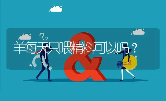 羊每天只喂精料可以吗? | 养殖问题解答