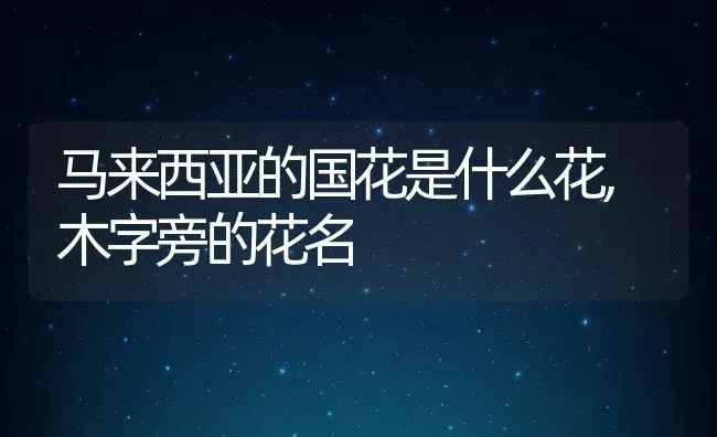 马来西亚的国花是什么花,木字旁的花名 | 养殖常见问题