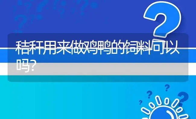 秸秆用来做鸡鸭的饲料可以吗? | 养殖问题解答