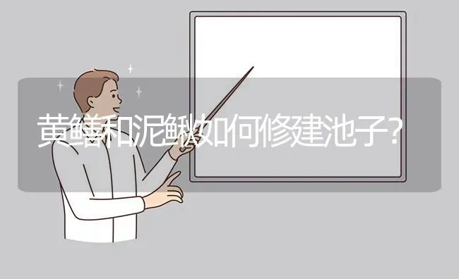 黄鳝和泥鳅如何修建池子? | 养殖问题解答