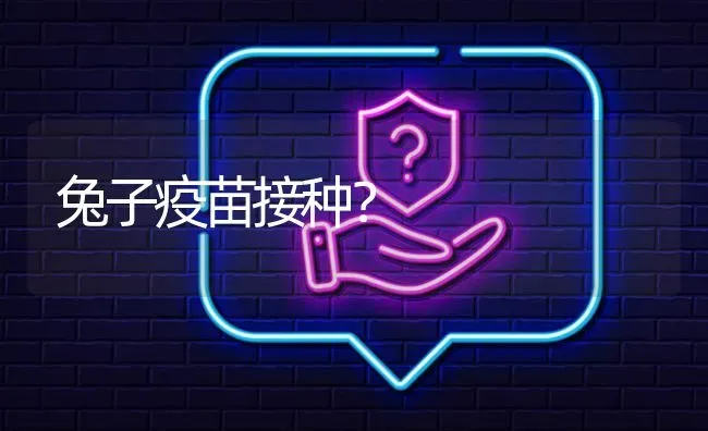 兔子疫苗接种? | 养殖问题解答