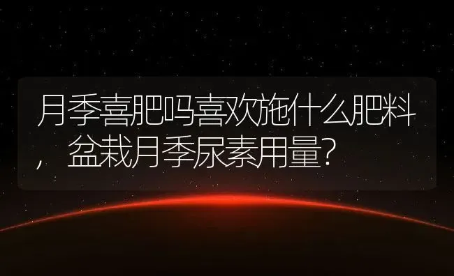 凤梨萝卜介绍,凤梨萝卜仔是啥样的？ | 养殖常见问题