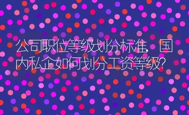 公司职位等级划分标准,国内私企如何划分工资等级？ | 养殖常见问题