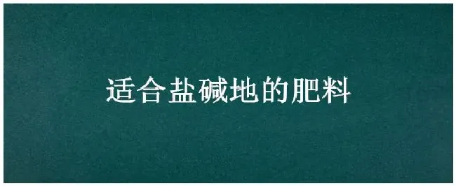 适合盐碱地的肥料 | 科普知识