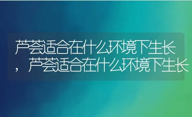 芦荟适合在什么环境下生长,芦荟适合在什么环境下生长 | 养殖常见问题