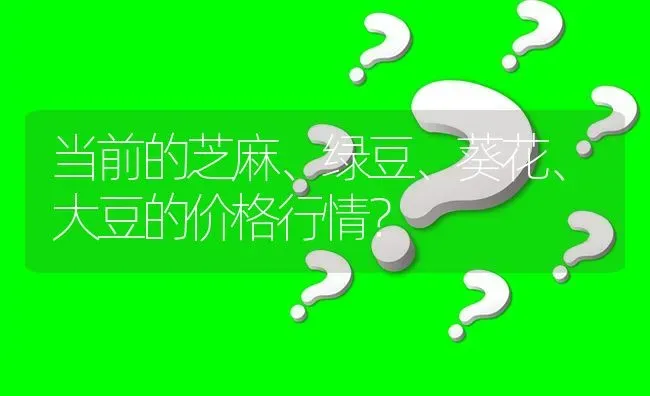 当前的芝麻、绿豆、葵花、大豆的价格行情? | 养殖问题解答