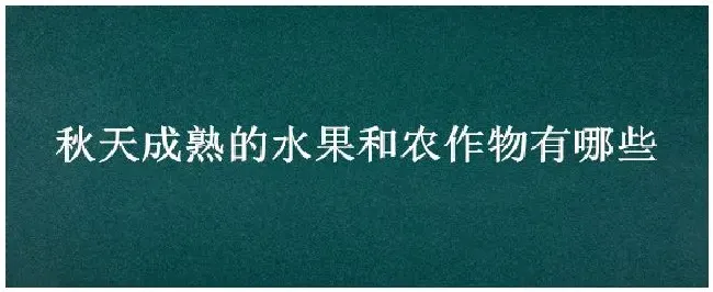 秋天成熟的水果和农作物有哪些 | 农业答疑