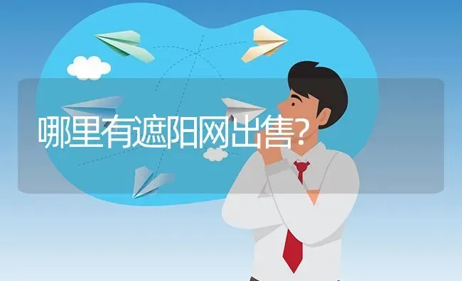 哪里有遮阳网出售? | 养殖问题解答