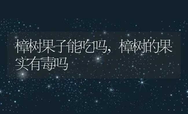 樟树果子能吃吗,樟树的果实有毒吗 | 养殖常见问题