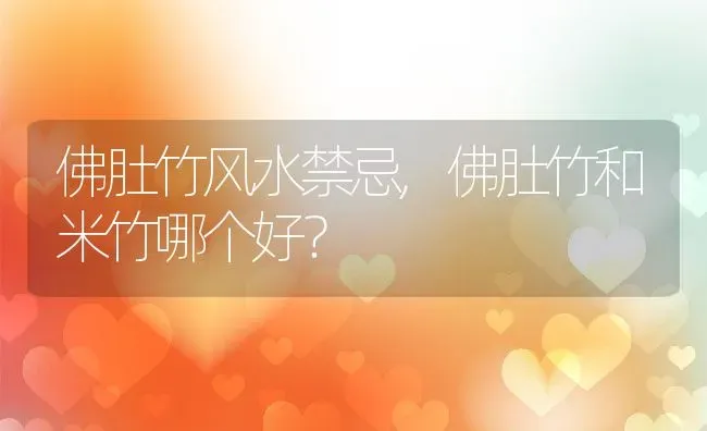佛肚竹风水禁忌,佛肚竹和米竹哪个好？ | 养殖常见问题