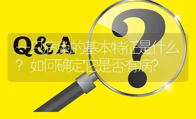 一只病兔的基本特征是什么?如何确定它是否有病? | 养殖问题解答