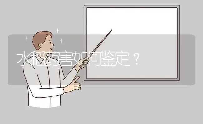 水稻药害如何鉴定? | 养殖问题解答