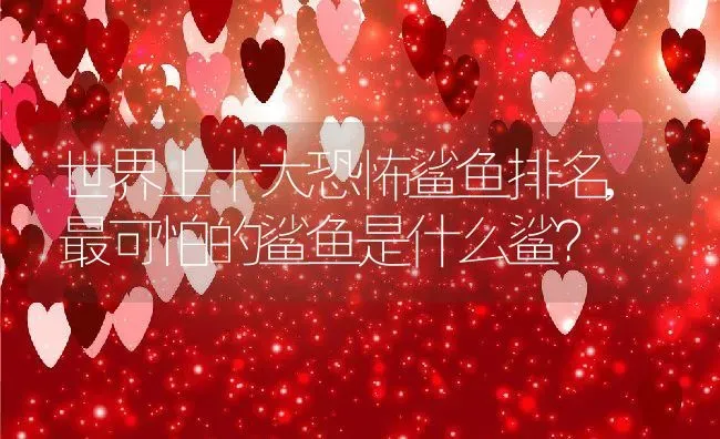 世界上十大恐怖鲨鱼排名,最可怕的鲨鱼是什么鲨？ | 养殖常见问题