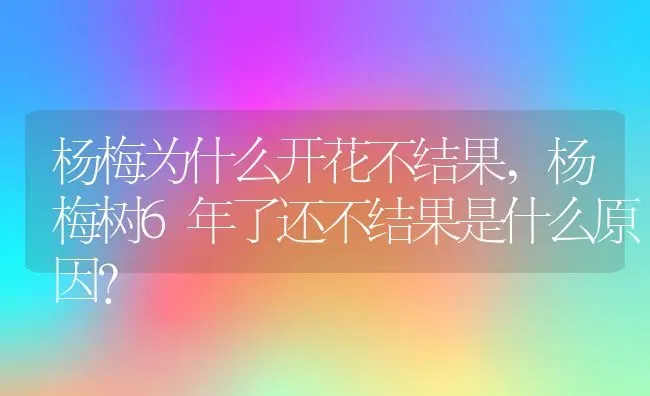 杨梅为什么开花不结果,杨梅树6年了还不结果是什么原因？ | 养殖常见问题