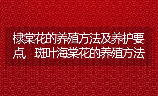 棣棠花的养殖方法及养护要点,斑叶海棠花的养殖方法 | 养殖常见问题