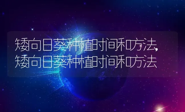 矮向日葵种植时间和方法,矮向日葵种植时间和方法 | 养殖常见问题