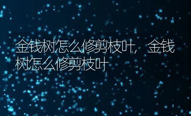 金钱树怎么修剪枝叶,金钱树怎么修剪枝叶 | 养殖常见问题