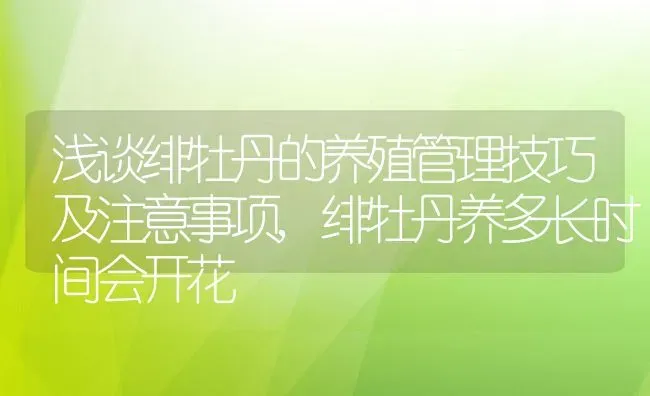 浅谈绯牡丹的养殖管理技巧及注意事项,绯牡丹养多长时间会开花 | 养殖常见问题