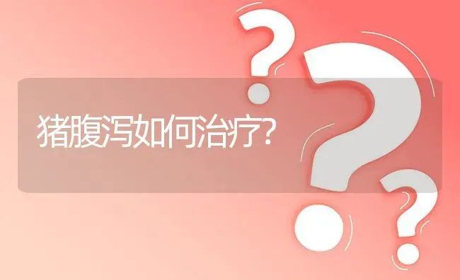猪腹泻如何治疗? | 养殖问题解答