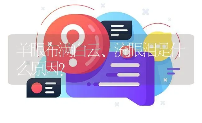 羊眼布满白云、流眼泪是什么原因? | 养殖问题解答