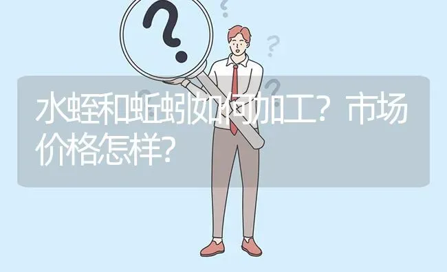 水蛭和蚯蚓如何加工?市场价格怎样? | 养殖问题解答