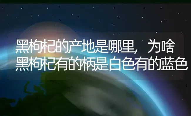 黑枸杞的产地是哪里,为啥黑枸杞有的柄是白色有的蓝色 | 养殖常见问题