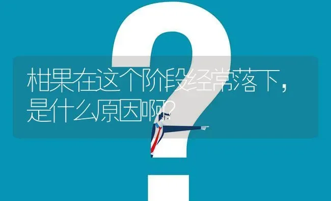 柑果在这个阶段经常落下,是什么原因啊? | 养殖问题解答