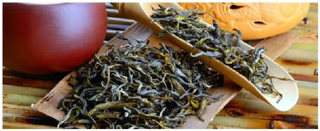 潮州单丛是什么茶 | 生活常识