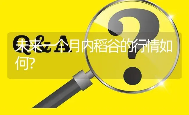 未来一个月内稻谷的行情如何? | 养殖问题解答