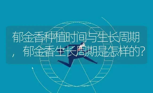 郁金香种植时间与生长周期,郁金香生长周期是怎样的？ | 养殖常见问题