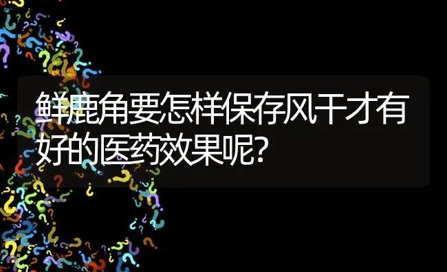 鲜鹿角要怎样保存风干才有好的医药效果呢? | 养殖问题解答