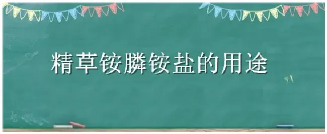 精草铵膦铵盐的用途 | 科普知识