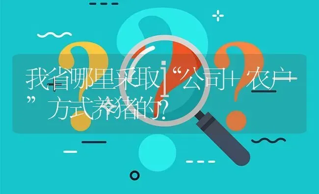 我省哪里采取“公司+农户”方式养猪的? | 养殖问题解答