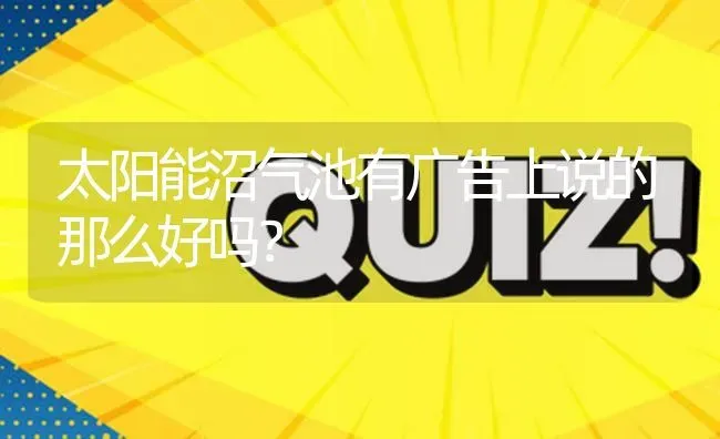 太阳能沼气池有广告上说的那么好吗? | 养殖问题解答