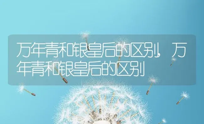 菊花花语象征与寓意,红菊花花语象征与寓意？ | 养殖常见问题