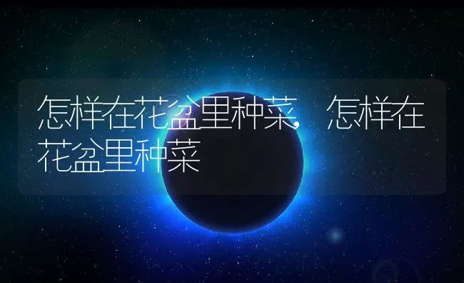 杏树的特征和特点,杏树的特征和特点 | 养殖常见问题