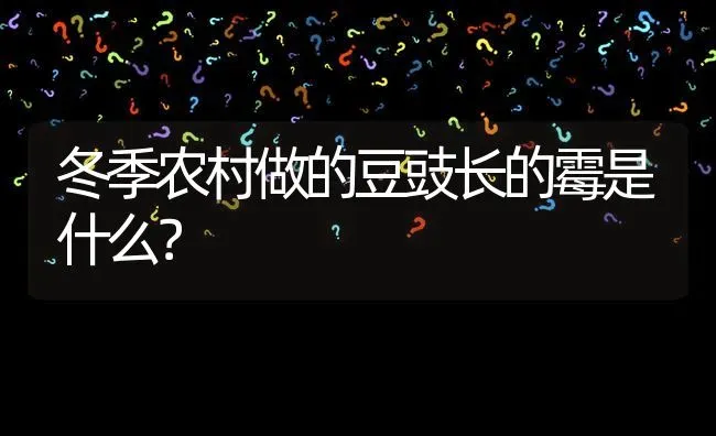 冬季农村做的豆豉长的霉是什么? | 养殖问题解答