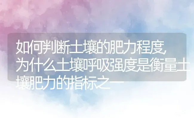 如何判断土壤的肥力程度,为什么土壤呼吸强度是衡量土壤肥力的指标之一 | 养殖常见问题