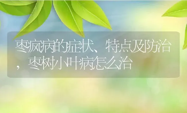 枣疯病的症状、特点及防治,枣树小叶病怎么治 | 养殖常见问题