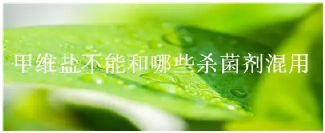 甲维盐不能和哪些杀菌剂混用 | 农业问题