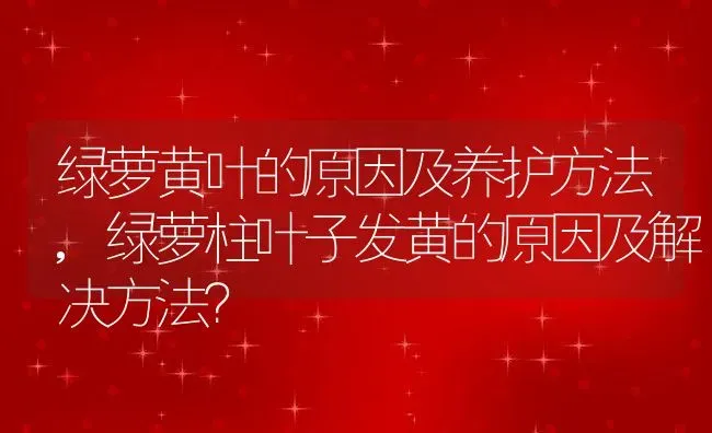 绿萝黄叶的原因及养护方法,绿萝柱叶子发黄的原因及解决方法？ | 养殖常见问题