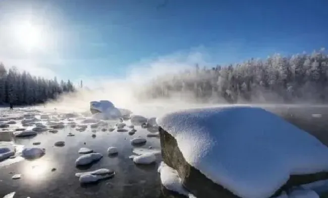 植物常识问题|大范围雨雪即将重启又要来了 新一轮大范围雨雪再度来袭