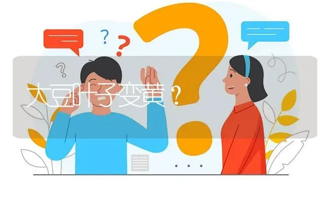 大豆叶子变黄? | 养殖问题解答