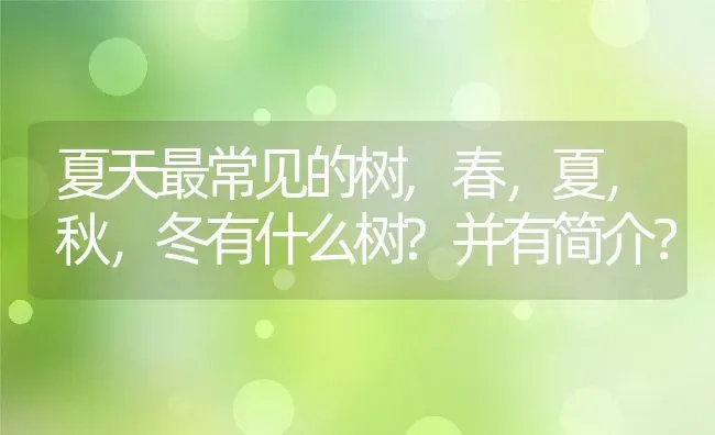 夏天最常见的树,春，夏，秋，冬有什么树?并有简介？ | 养殖常见问题