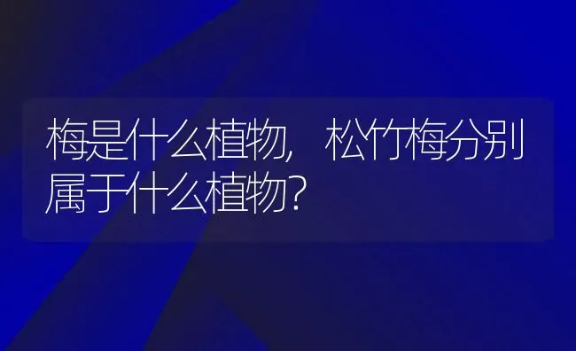 梅是什么植物,松竹梅分别属于什么植物？ | 养殖常见问题