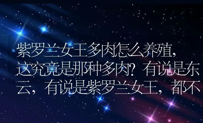 紫罗兰女王多肉怎么养殖,这究竟是那种多肉？有说是东云，有说是紫罗兰女王，都不象，请大师指教？ | 养殖常见问题