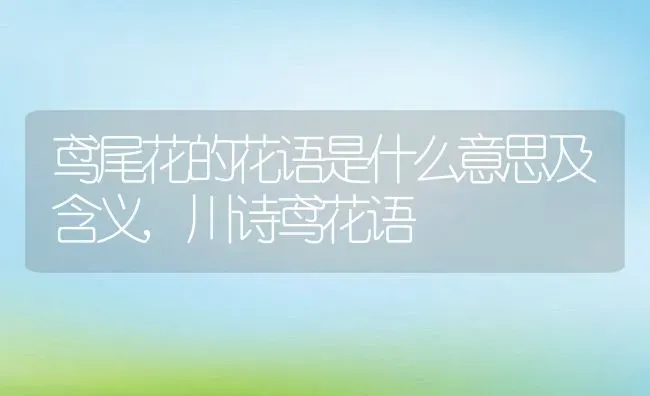 海葡萄怎么吃,海葡萄怎么吃 | 养殖常见问题