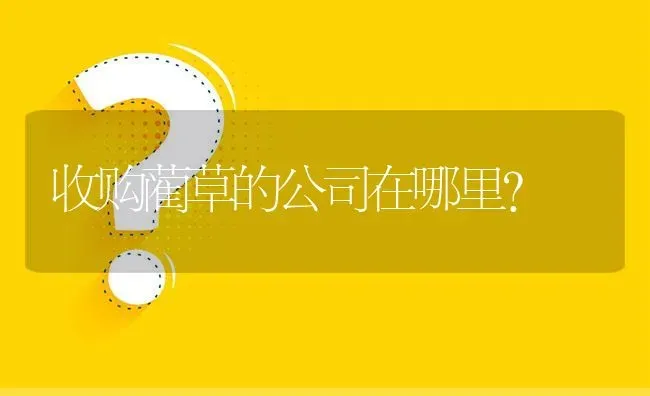 收购蔺草的公司在哪里? | 养殖问题解答