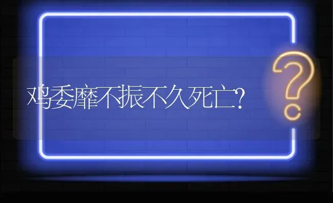 鸡委靡不振不久死亡? | 养殖问题解答
