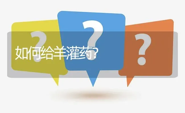 如何给羊灌药? | 养殖问题解答